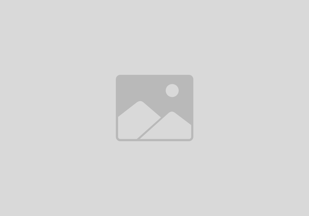 Logo dm